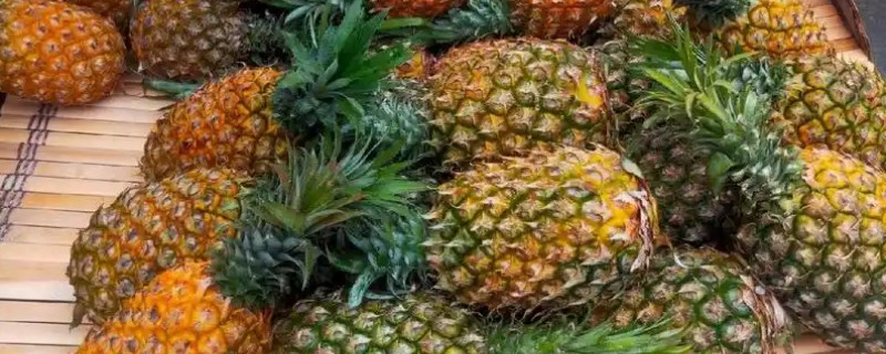 凤梨和菠萝的区别，外观和果肉均不同