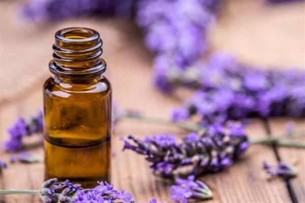 新疆伊宁市的农特土产品，有马铃薯、薰衣草精油等