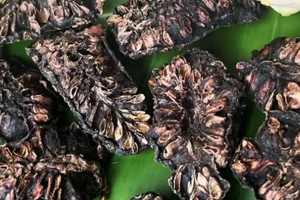 诺丽果的存放时间，冰箱冷藏可保存8-9天