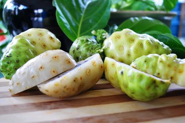 诺丽果的存放时间，冰箱冷藏可保存8-9天