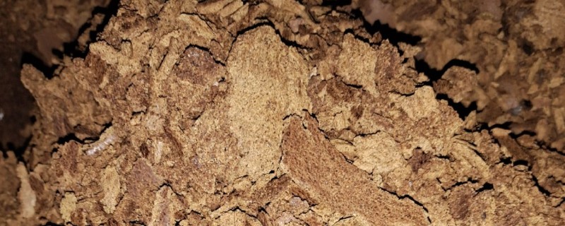 菜籽饼的发酵方法，与土壤混匀后加水搅拌并密封