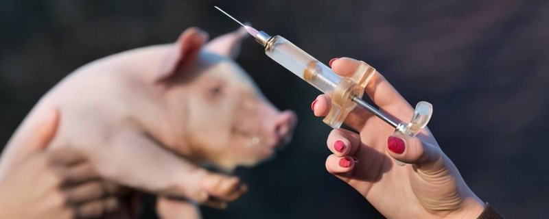 猪常用针头型号及长度，不同体重所使用的针头不同