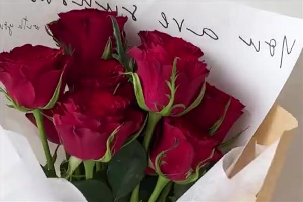 玫瑰花的保存方式，插入花瓶中具有保鲜效果