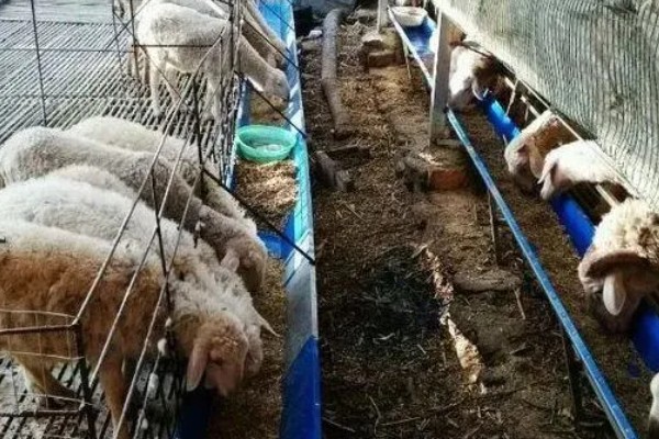 怎么办理养殖环评手续，重点污染物符合问题控制的要求