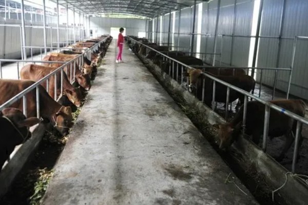 怎么办理养殖环评手续，重点污染物符合问题控制的要求