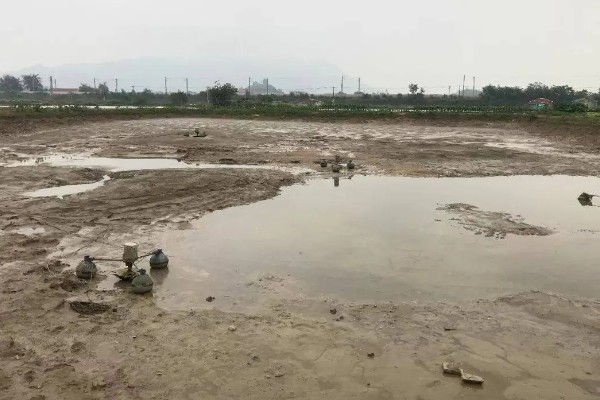 怎么办理养殖环评手续，重点污染物符合问题控制的要求