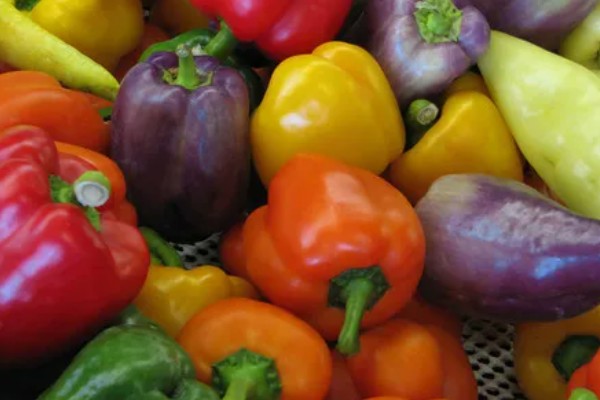 转基因和非转基因的区别，基本构成以及培育方式有区别