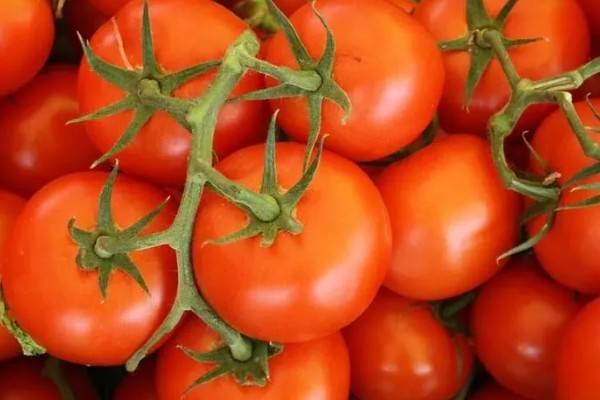 转基因和非转基因的区别，基本构成以及培育方式有区别