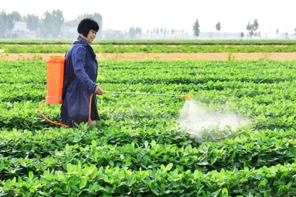烯效唑有何作用，能起到控制营养生长、矮化植株等效果
