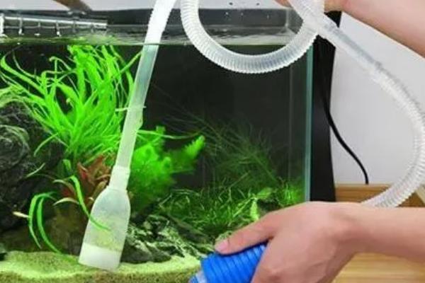 养鱼的水质不好如何处理，要注意经常换水
