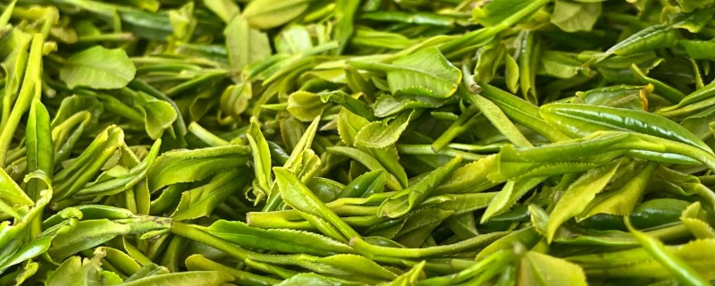 六大茶类的介绍，包括绿茶、红茶等