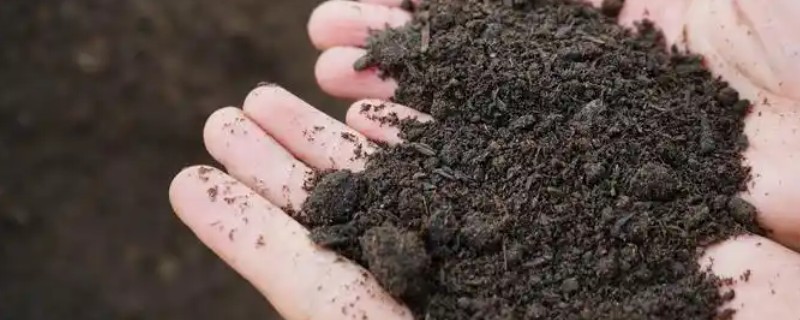 有机肥施用技术，每茬蔬菜亩施60-100公斤作基肥
