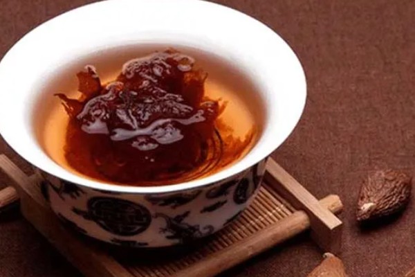 胖大海是什么树长出来的，从锦葵科、胖大海属的植物上长出