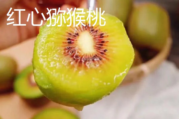 猕猴桃绿心红心黄心的区别，产地、口感、果型均不同