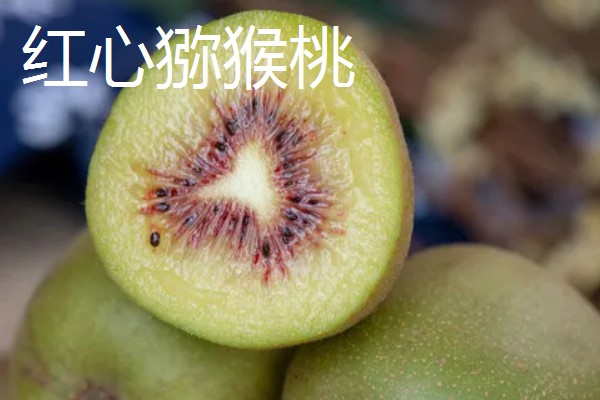 猕猴桃绿心红心黄心的区别，产地、口感、果型均不同