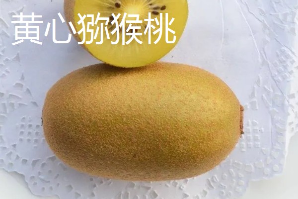 猕猴桃绿心红心黄心的区别，产地、口感、果型均不同