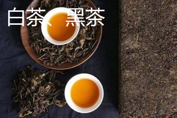 六大茶类的介绍，包括绿茶、红茶等