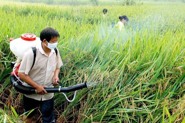 如何提高农药使用效率，可采用静电喷雾技术