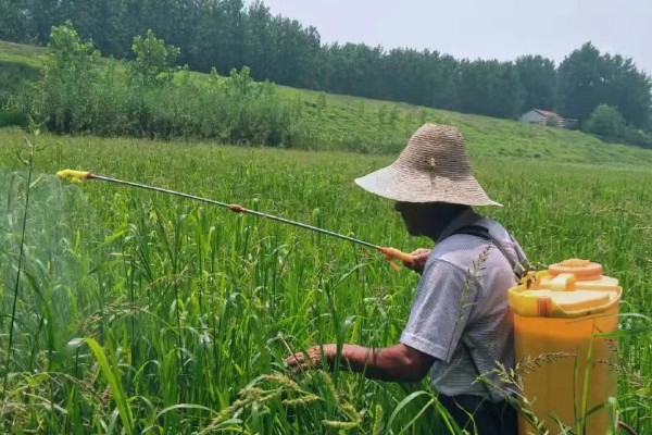 如何提高农药使用效率，可采用静电喷雾技术