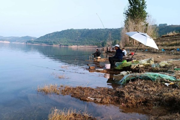 水库水深5米钓底还是钓浮,目标鱼是中上层鱼就采取钓浮