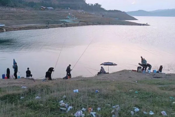 水库水深5米钓底还是钓浮,目标鱼是中上层鱼就采取钓浮