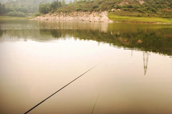 水库水深5米钓底还是钓浮,目标鱼是中上层鱼就采取钓浮