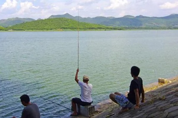 水库水深5米钓底还是钓浮,目标鱼是中上层鱼就采取钓浮