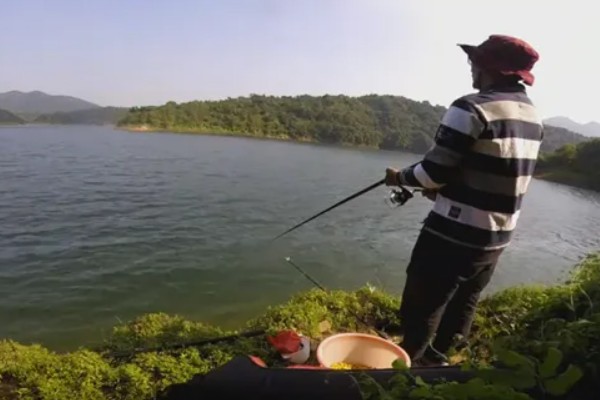 水库水深5米钓底还是钓浮,目标鱼是中上层鱼就采取钓浮