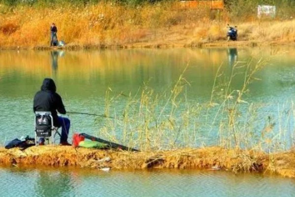 水库水深5米钓底还是钓浮,目标鱼是中上层鱼就采取钓浮