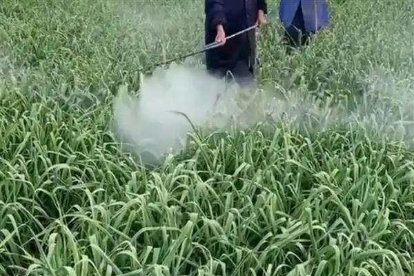 葱蒜病虫害防治措施，可农业防治也可药剂防治