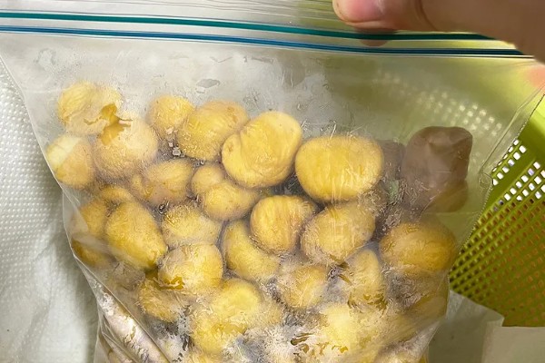 板栗什么时候打防虫药，通常在开始结幼果的时候打药