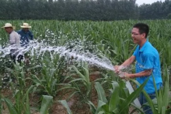 刚种的玉米要不要浇水，通常需要浇水的