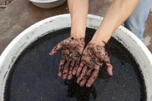 种红薯用草木灰的方式，草木灰和水按照1:5的比例调兑