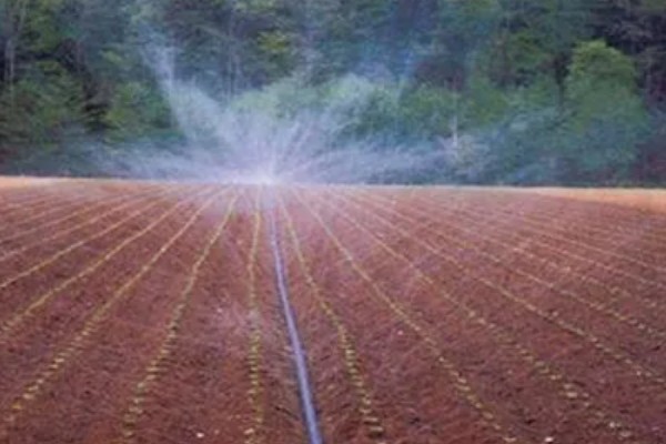 土壤板结有哪些危害，会影响根系发育