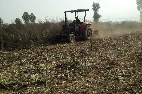 土壤板结有哪些危害，会影响根系发育
