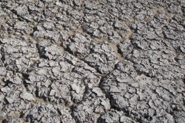 土壤板结有哪些危害，会影响根系发育