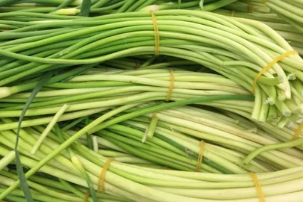 蒜头是指什么部位,属于大蒜的鳞茎部位