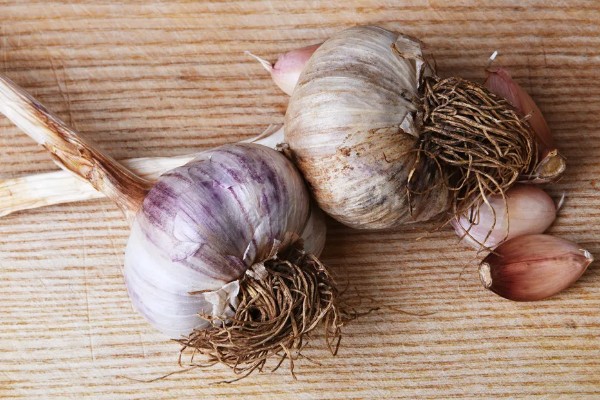 蒜头是指什么部位,属于大蒜的鳞茎部位