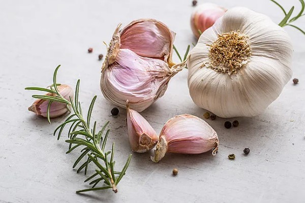 蒜头是指什么部位,属于大蒜的鳞茎部位