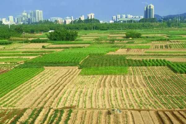 一亩地的面积，大概是667平方米