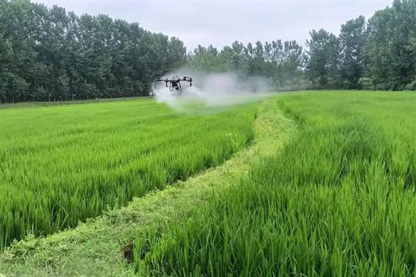 怎么使用水溶肥，要防止直接冲施