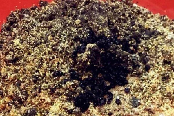 红虫颗粒打窝能钓哪种鱼，可以钓鲫鱼、鲤鱼等