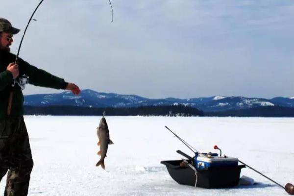 冰钓适合用多粗的线，根据鱼种的大小而定