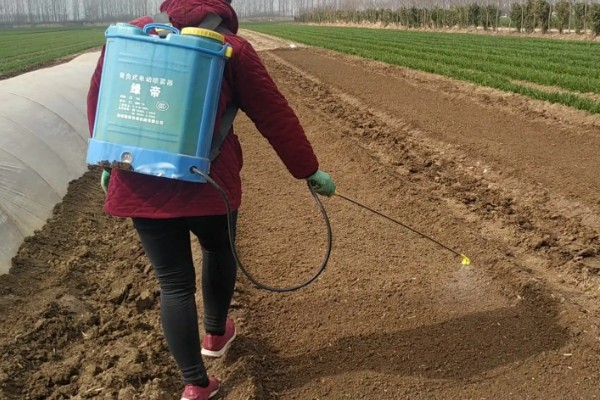 芹菜地如何除草，播种前用氟乐灵乳油