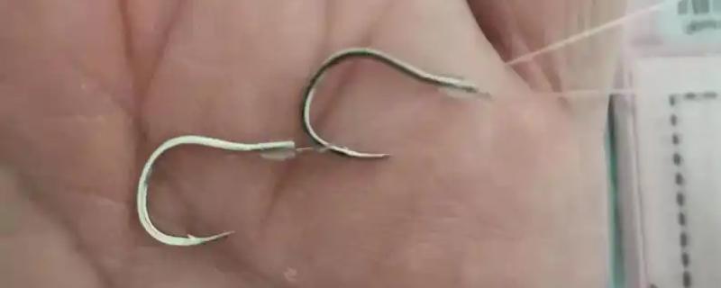 1号伊势尼要配多大的子线，通常配1.0号子线