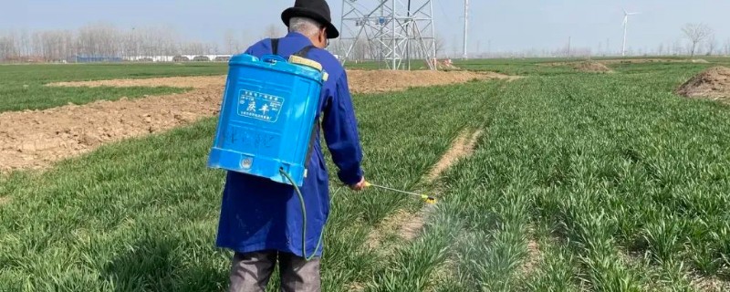 麦田病虫害如何防治,一定要正确选药