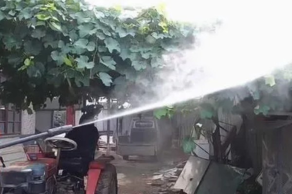 1-3月份怎么管理大棚葡萄，白天和晚上都要保持适宜的温度
