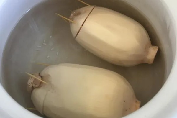 莲藕的产地，主产于湖北、广东、广西等省份