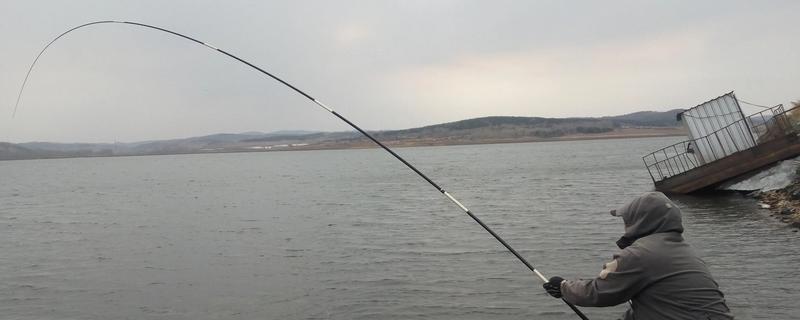 传统钓所用鱼竿，以溪流竿、传统长竿为主
