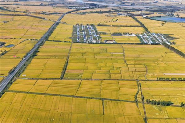 黑龙江农业发展自然优势,当地土壤肥沃且土地资源丰富